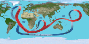 Global Thermohaline Circulation