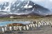 Malvinas