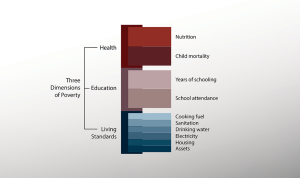 Multi-dimensional Poverty Index
