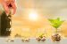 National Small Savings Fund