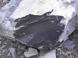 Oil Shale