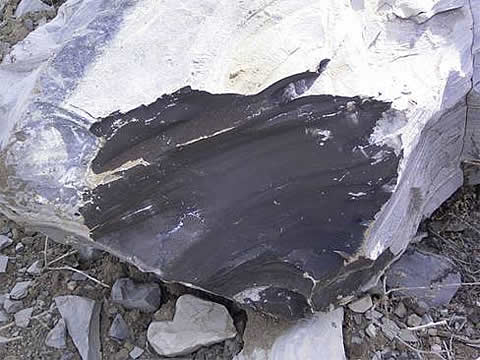 Oil Shale