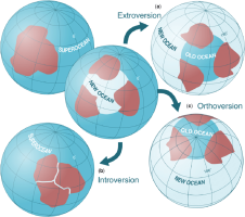 Orthoversion and Introversion Models of Supercontinent Formation