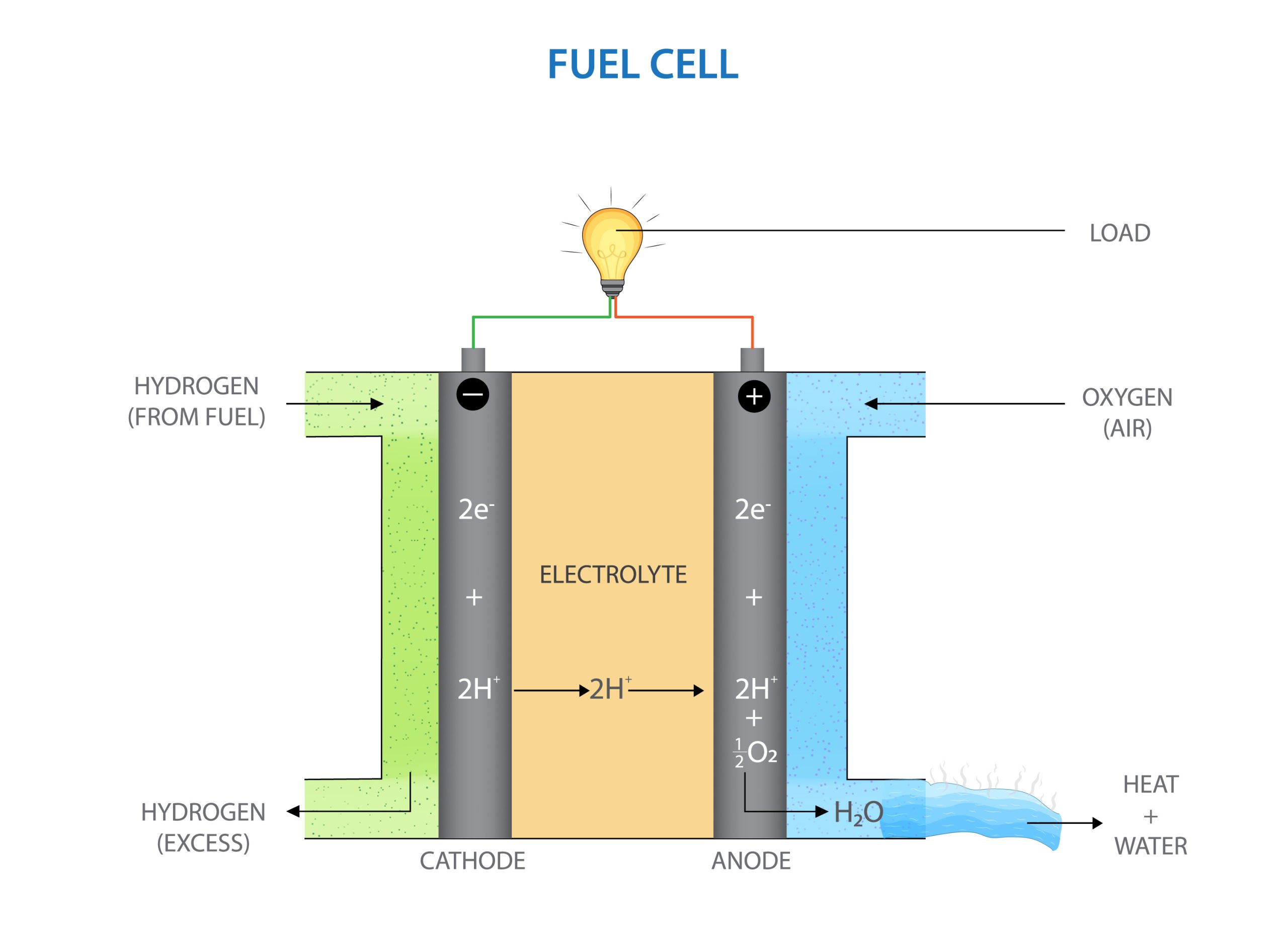 PEM Fuel Cell