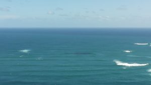 Tasman Leakage