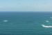 Tasman Leakage
