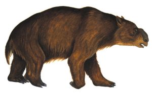 Diprotodon