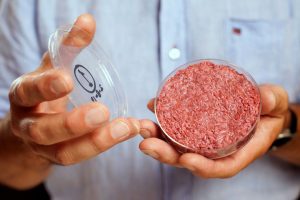 Artificial meat