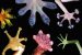 Biomimetics