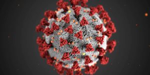 Bioterrorism
