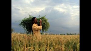 National Land Records Modernisation Programme
