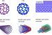 Types of Fullerenes