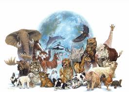 Legal status of beasts