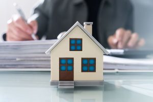Ownership (law)