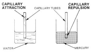 Capillary Action