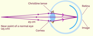 Near point (vision)