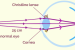 Near point (vision)