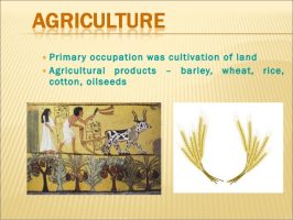 Rig-Vedic Economy