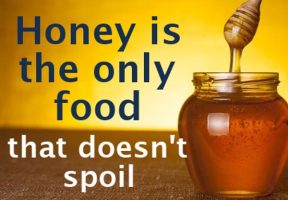 Why Honey Does Not Spoil