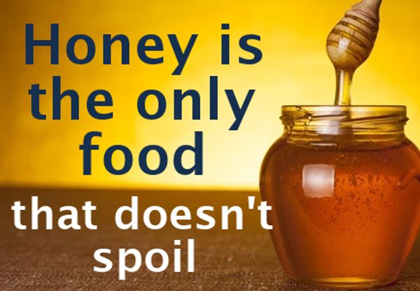 Why Honey Does Not Spoil