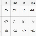General Knowledge about Tulu Language