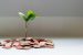 Seed Capital