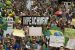 Brazil on the brink of recession