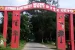 Dehing Patkai National Park