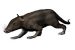 Juramaia sinensis