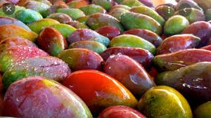 Mango Showers