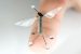 RoboBee