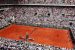 Roland Garros
