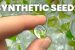 Synthetic Seeds