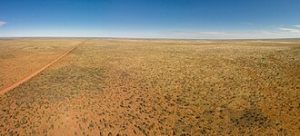 Tanami Desert