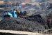 SC cancels licences of 214 coal blocks