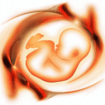Centre sets up Expert Group to examine new methods of sex determination