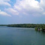 Kerala’s Ashtamudi clam fishery to first in India to receive MSC certification