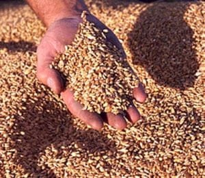 WTO approves trade facilitation agreement (TFA)