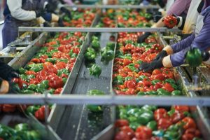 Food Processing