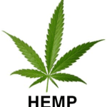 India’s first annual hemp conference held in New Delhi