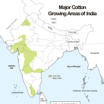 October 7: World Cotton Day