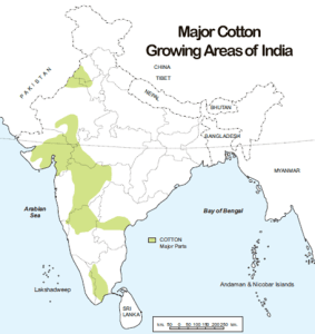 October 7: World Cotton Day