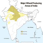 Panel to assess impact of Higher temperature on Wheat Crop