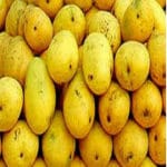 EU decides to lift ban on import of mangoes from India