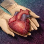 UK unveils new organ donation plan to address Indian-origin shortages