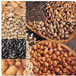  The economics of oil seeds