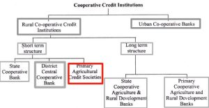 Primary Credit Societies
