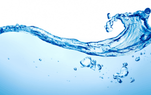 Privatization of Water: Various Issues