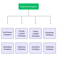 Types of Companies in India