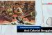 Anti-Colonial Struggles [UGC-NTA Net Political Science]